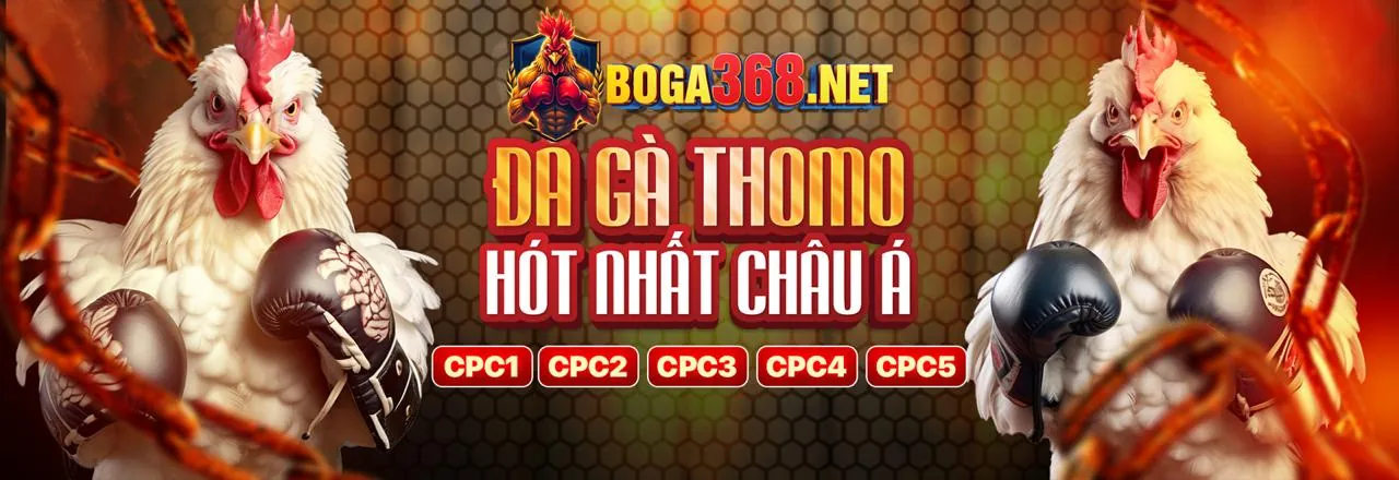 Đá gà trực tuyến kịch tính tại tp88.cc